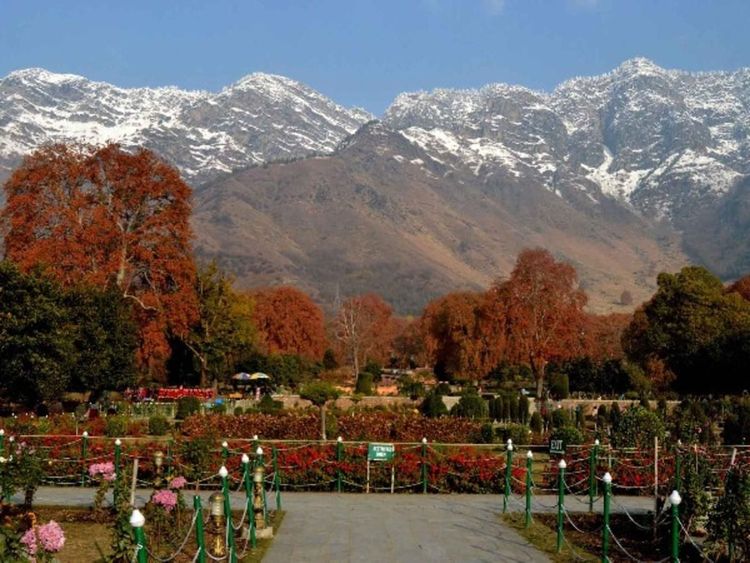 पृथ्वीवरच्या नंदनवनाची सफर करायची असेल तर लवकरच जाऊन या काश्मीरला ! पुढच्या महिन्यात  हिमवर्षाव सुरू होईल ! 