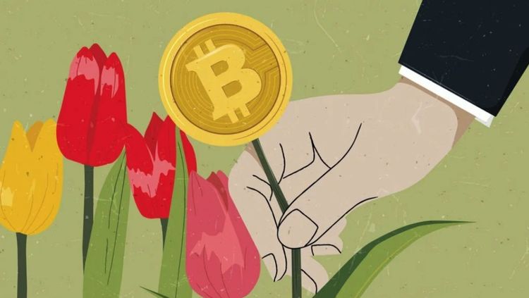 बिटकॉइनचा फुगा फुटणार की बिटकॉइनला मान्यता मिळणार ? काय असेल नव्या कायद्यात ? 