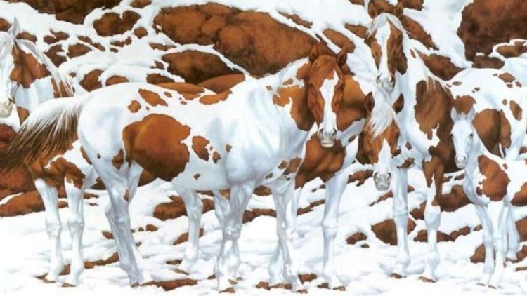 या फोटोत नक्की किती घोडे आहेत? भल्याभल्यांचं उत्तर चुकलंय, तुमचं बरोबर येतं का ते पाहू!!