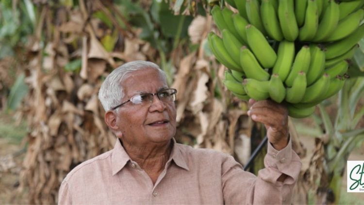 रासायनिक खते की सेंद्रिय खते ?या प्रश्नाचे उत्तर समजण्यासाठी नेचर केअर फर्टिलायझरबद्दल तुम्ही वाचलेच पाहीजे 