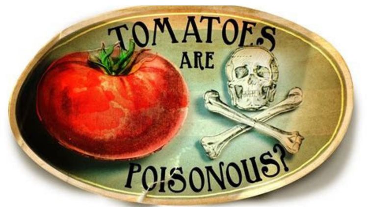 विश्वास बसणार नाही पण एकेकाळी टॉमॅटोवर पण खटला भरला गेला होता !