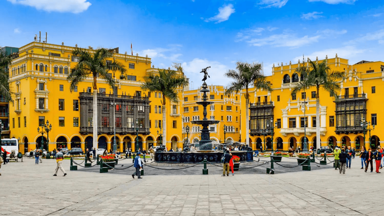 ६) लिमा सिंड्रोम 