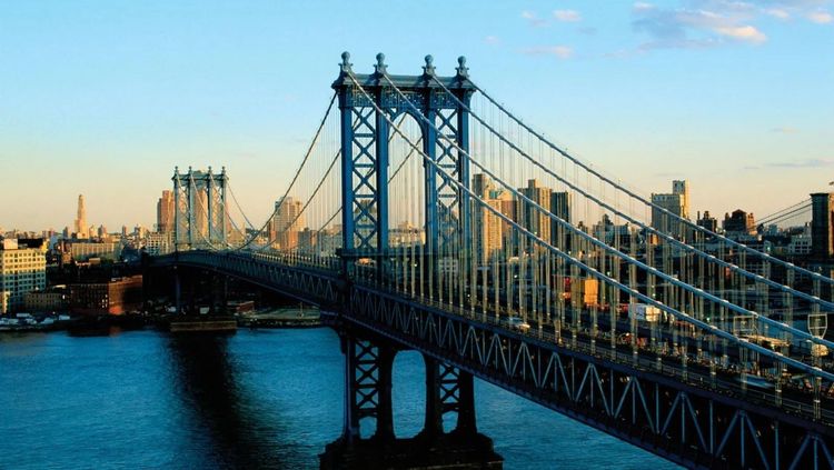 ९) ब्रुकलीन सिंड्रोम 