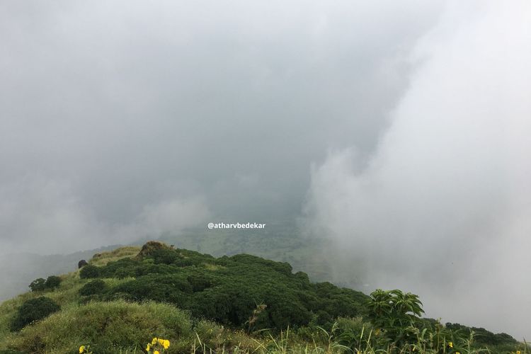 वर्षासहलीला चाललात? मग दुर्ग कसे पहावे? पावसाळ्यात दुर्ग फिरताना काय काळजी घ्यावी? हे तर आधी वाचा..