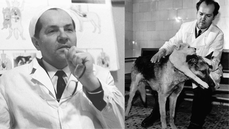 दोन तोंडांचा कुत्रा बनवू पाहणाऱ्या एका डॉक्टरची गोष्ट!! त्या कुत्र्यांचे पुढे काय झाले?