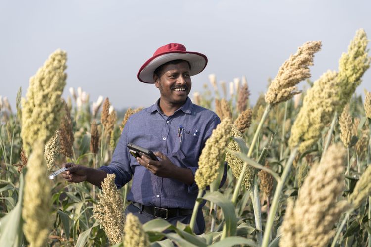 डॉ. महालिंगम गोविंदराजना मिळाला आहे जगातली पहिली अधिक पोषणमूल्य असलेली बाजरी विकसित करण्यासाठी जागतिक पुरस्कार!!