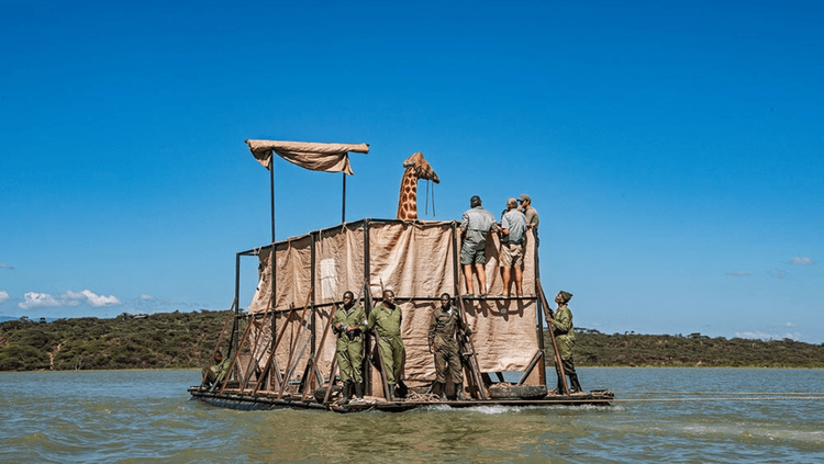 भूतदया -माणुसकी हरवत चालली आहे असं तुम्हालाही वाटतं का? मग नक्की वाचा ही कहाणी!