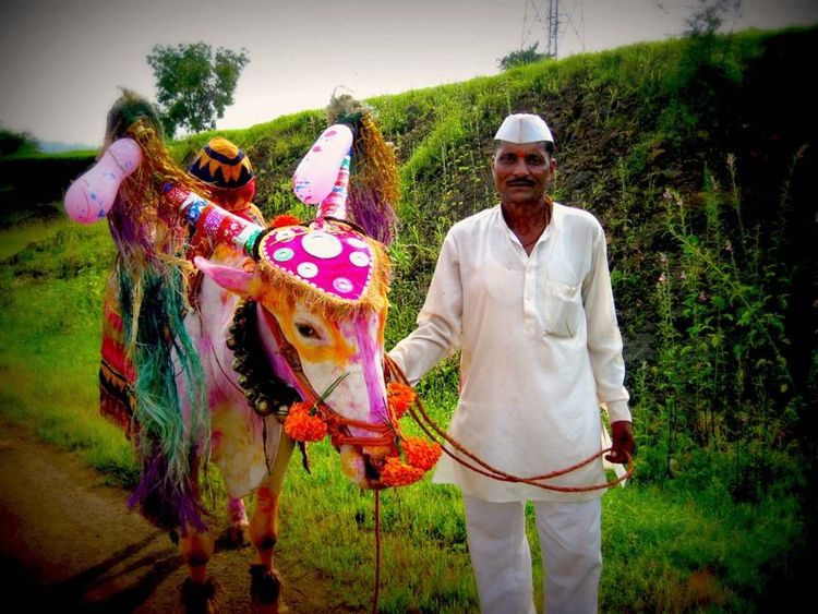 पोळा -भारतीय कृषी संस्कृतीच्या विचारांची महती सांगणारा सण !