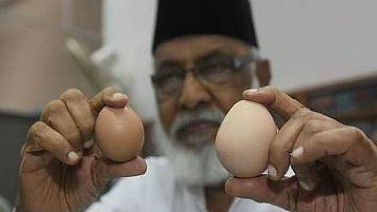 अंडे का फंडा...प्लास्टिकची अंडी कशी ओळखाल ? वाचा !!!