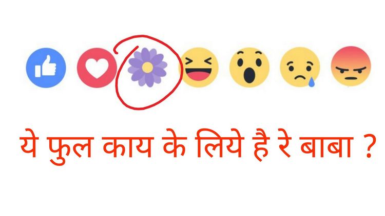 फेसबुकवर अचानक ही जांभळ्या फुलाची रिअॅक्शन कशासाठी आली भाऊ ?