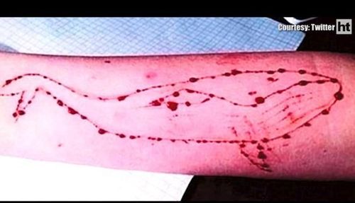 काय आहे हा ब्लू व्हेल गेम? आणि मुलं हा गेम खेळून आत्महत्या का करत आहेत?