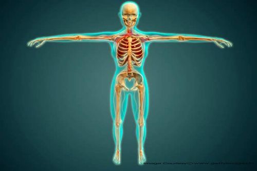आयुर्वेद सांगतय: निरोगी दीर्घायुष्यासाठी शरीर कसं असावं?