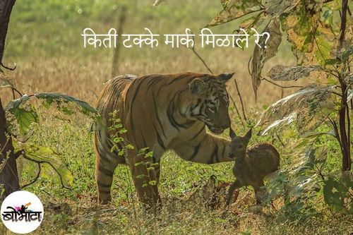 ह्या टिप्सचा तुम्हाला बोर्डाच्या रिझल्टच्या दिवशी नक्कीच फायदा होईल 