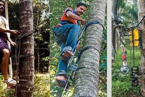 १०. झाडावर चढण्याचं उपकरण 