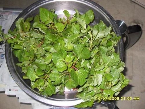 ३. कुरडू