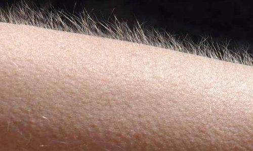 मानवी शरीरातल्या या चार गोष्टींचा खरंतर माणसाला आता बिल्कुल उपयोग नाही..