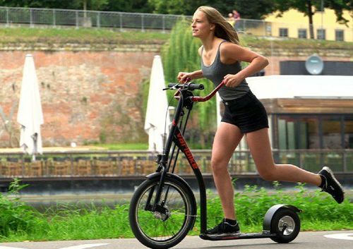 ५. स्कूटर बाईक (वेरबाईक)