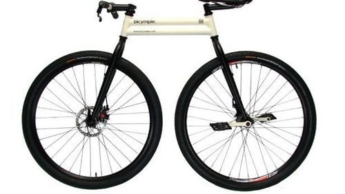 ९. चेनलेस सायकल – बायसॅम्पल 