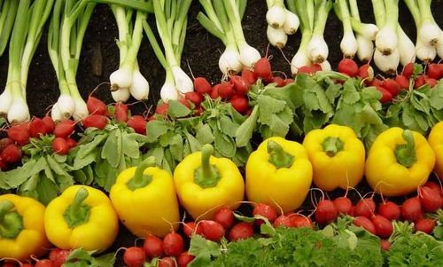 ऑरगॅनिक फार्मिंग म्हणजे काय?