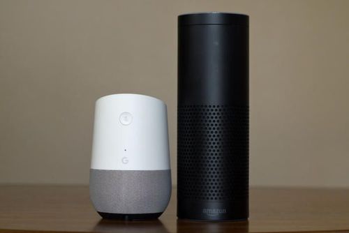 हे पाहा असे दिसतात गुगल होम आणि ॲलेक्सा..