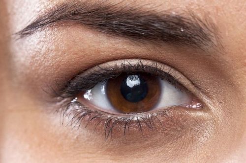 सिद्धांत १.