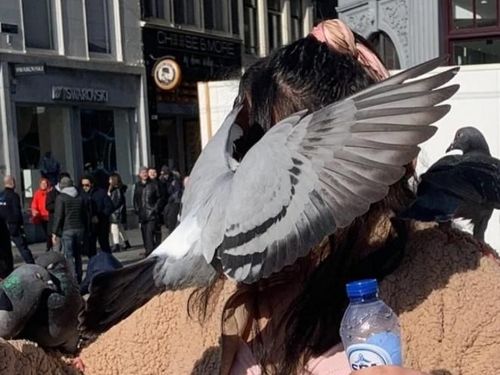 १२. धडक २