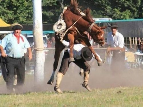 १३. नेमकं कोण कोणाला नेतंय ?