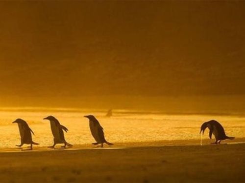 ३. प्रत्येक ग्रुपमध्ये असा एक मित्र असतोच.