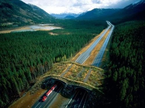 ५. बॅनफ राष्ट्रीय उद्यान, कॅनडा