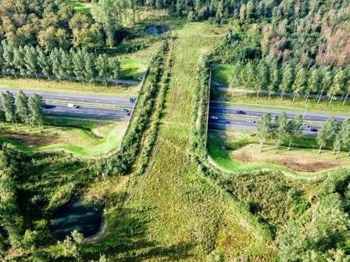 १०. ब्राबांत, नेदरलँड्स