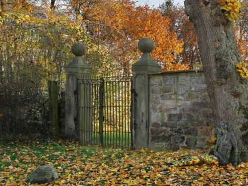 फक्त स्मार्ट लोकांना या चित्रात लपलेली बाई सापडते! क्लिक करा आणी उत्तर बघा