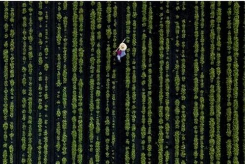 १४. कम्प्यूटर प्रोग्राममध्ये अडकलेला माणूस की आणखी काही?