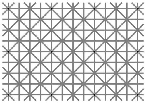 या आभासी चित्रात एकाच वेळेस १२ काळे ठिपके तुम्हाला दिसताहेत का? चक्कर येईल जास्त वेळ बघू नका..