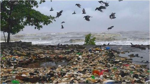 तौक्ते वादळाने जाताजाता मुंबईला कोणती भेट दिली आहे पाहा !!