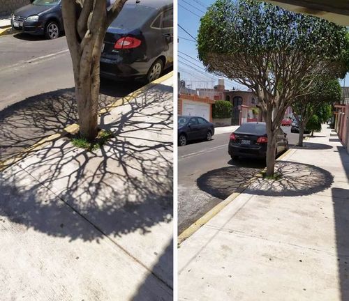 ५. हे डिझाईन भल्याभल्या डिझायनर्सना जमणार नाही.