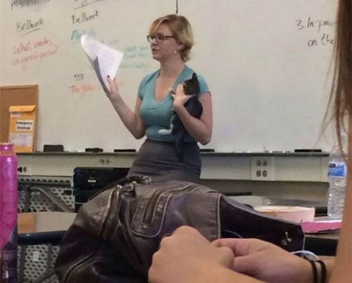 11) या बाईंना शाळेत एक मांजरीचे पिल्लू सापडले आता तिची पण शिकवणी सुरू आहे.