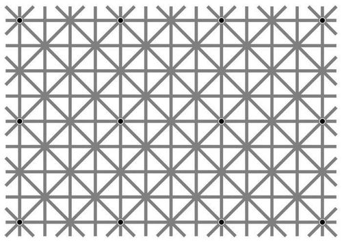 १३. या फोटोमध्ये एकूण किती काळे बिंदू दिसतात?