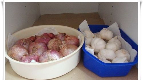 २ व ३. कांदे आणि लसूण: