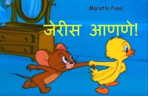 एखाद्याला जेरीस आणणं म्हणजे काय असतं हे तुम्ही अनुभवलं असेलच. पण टॉम अँड जेरीमधल्या 'जेरी'स आणणे असं हे भन्नाट मीम पाहून तुम्हीही जेरीस आला नाहीत ना?