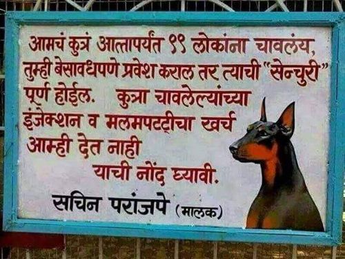 कुत्र्याची सेंचुरी