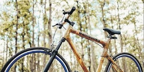 बस्तरमधल्या लोकांनी तयार केलीय बांबूची सायकल!! ती किती वजन पेलू शकते ते ही पाहा!